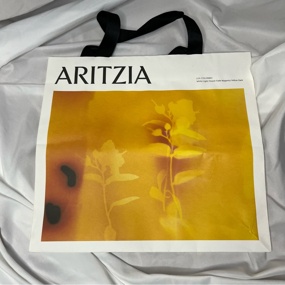 Aritzia Paper Tote Bag